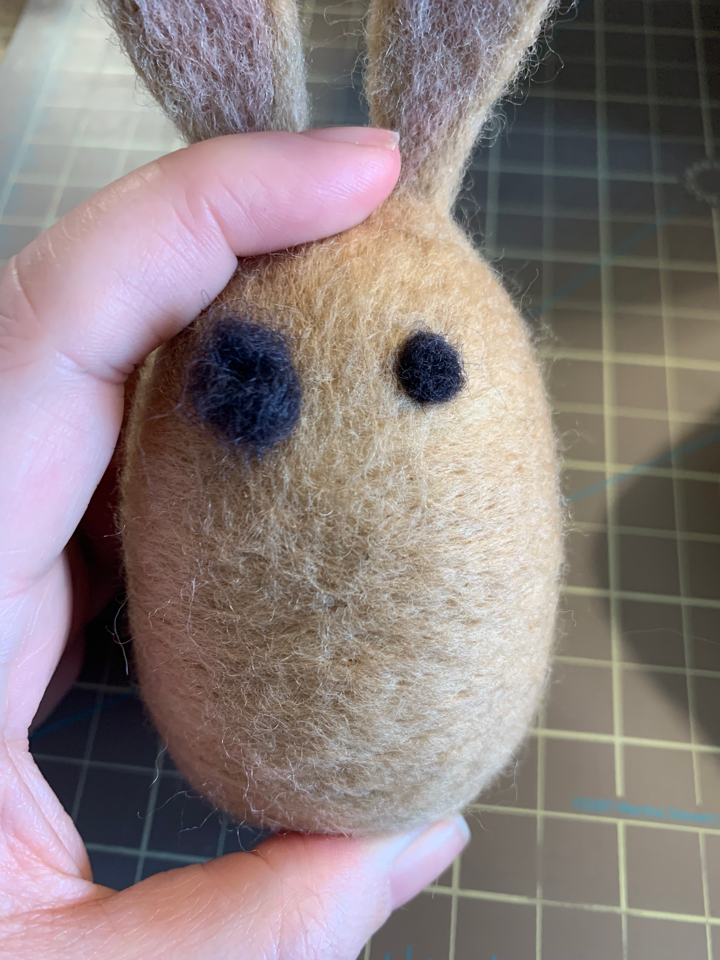 Needle Felted Bunnies Kit