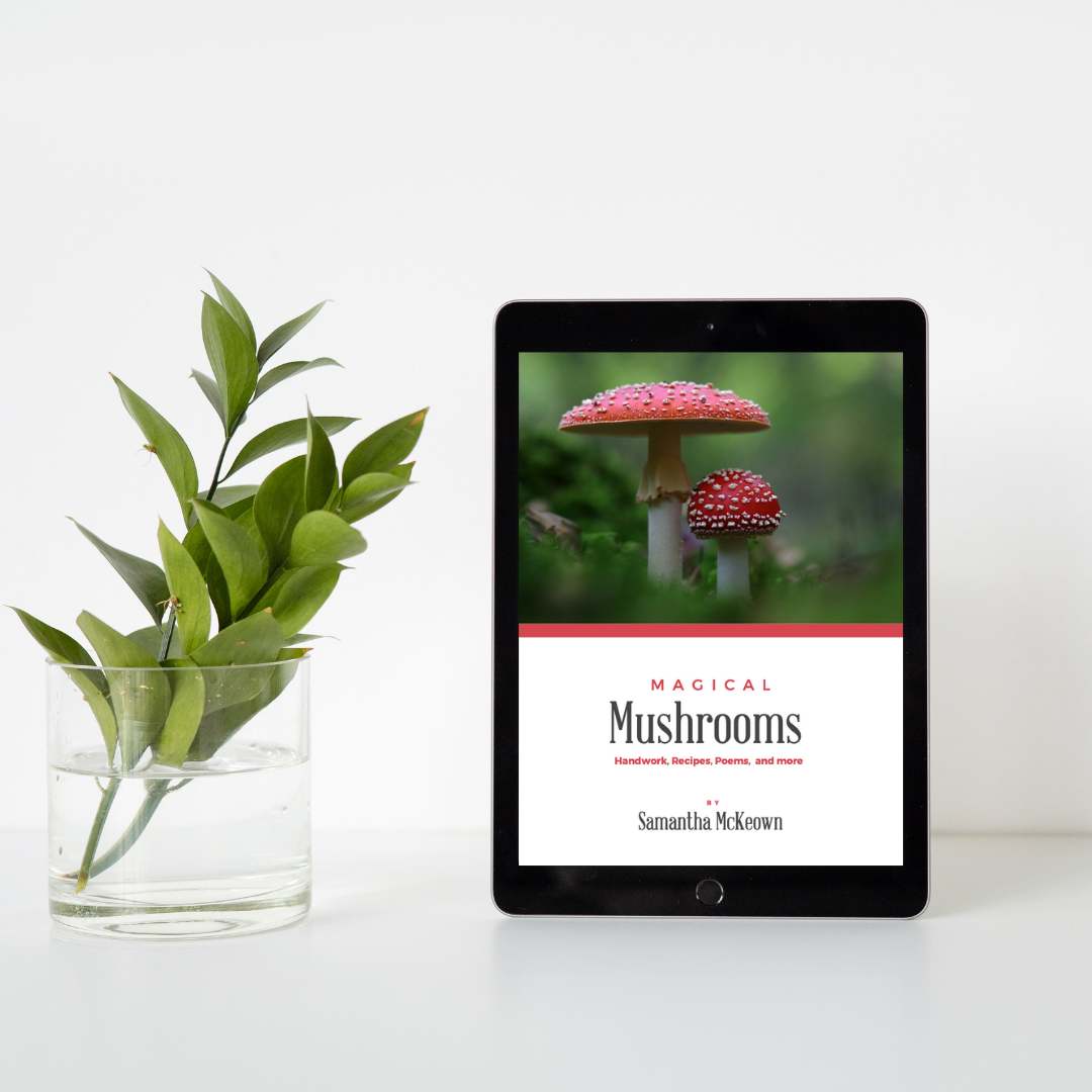 Magical Mushrooms Guide PDF - Updated