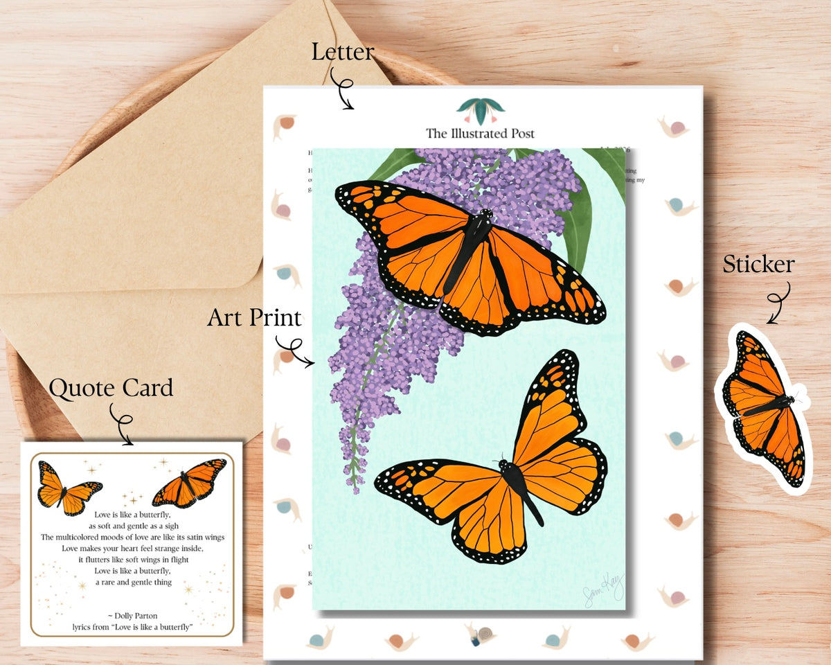 Past Illustrated Post: Monarch Butterflies
