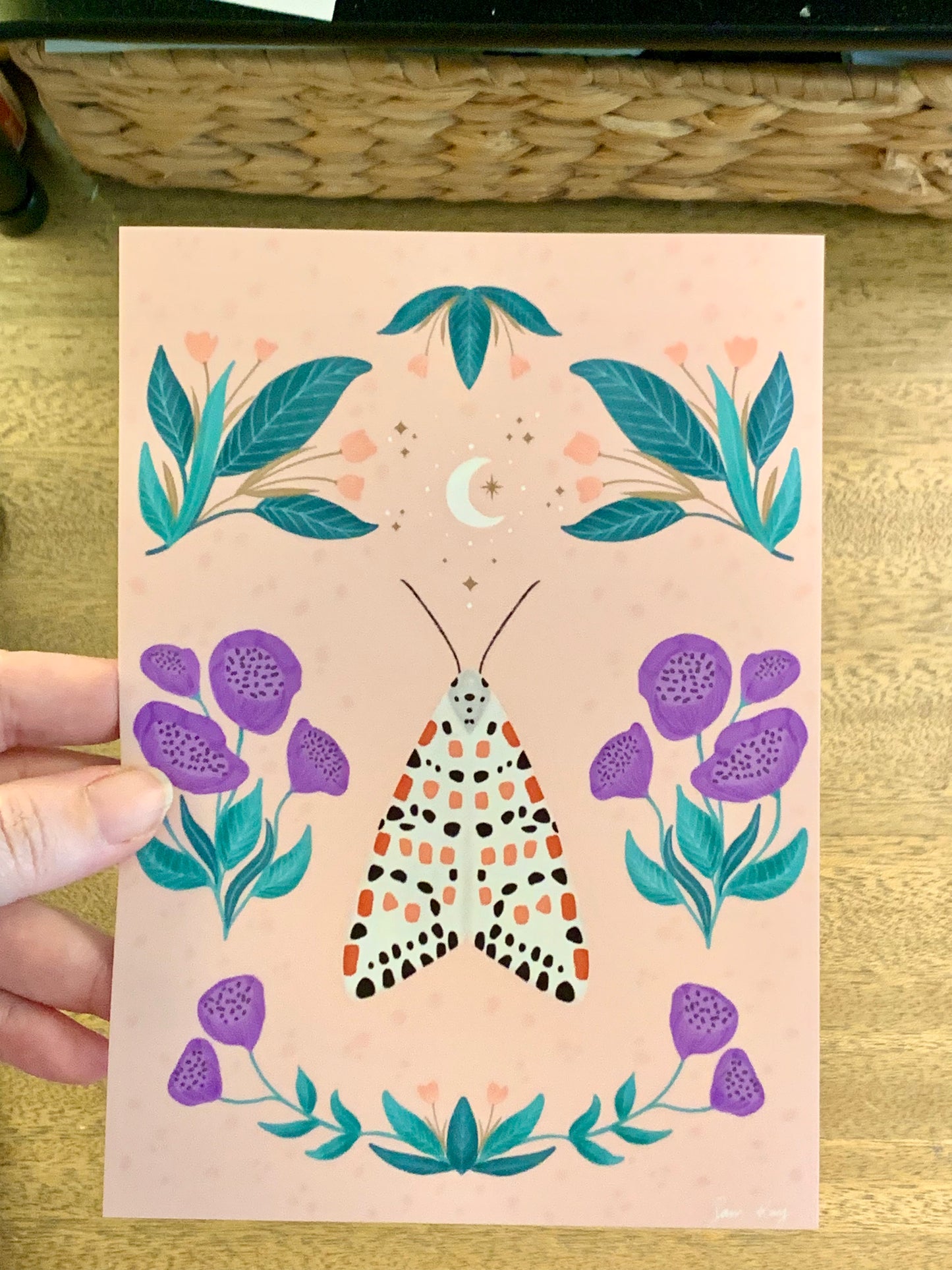 Past Illustrated Post: Crimson Speckled Moth