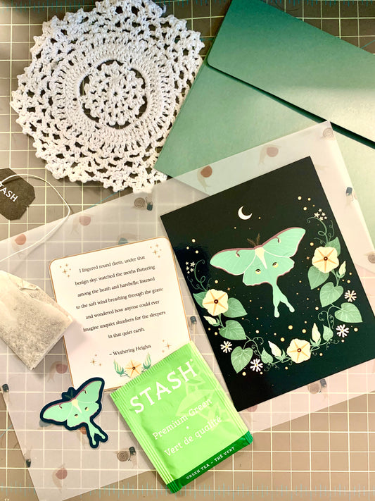 Past Illustrated Post: Summer Nights Luna Moth