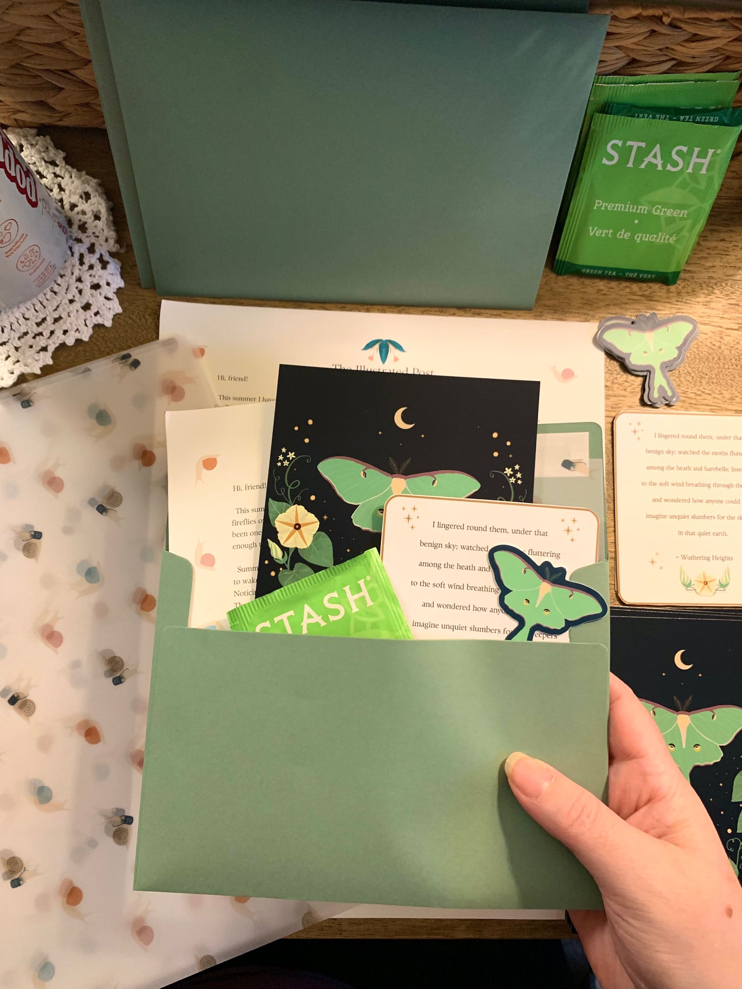Past Illustrated Post: Summer Nights Luna Moth