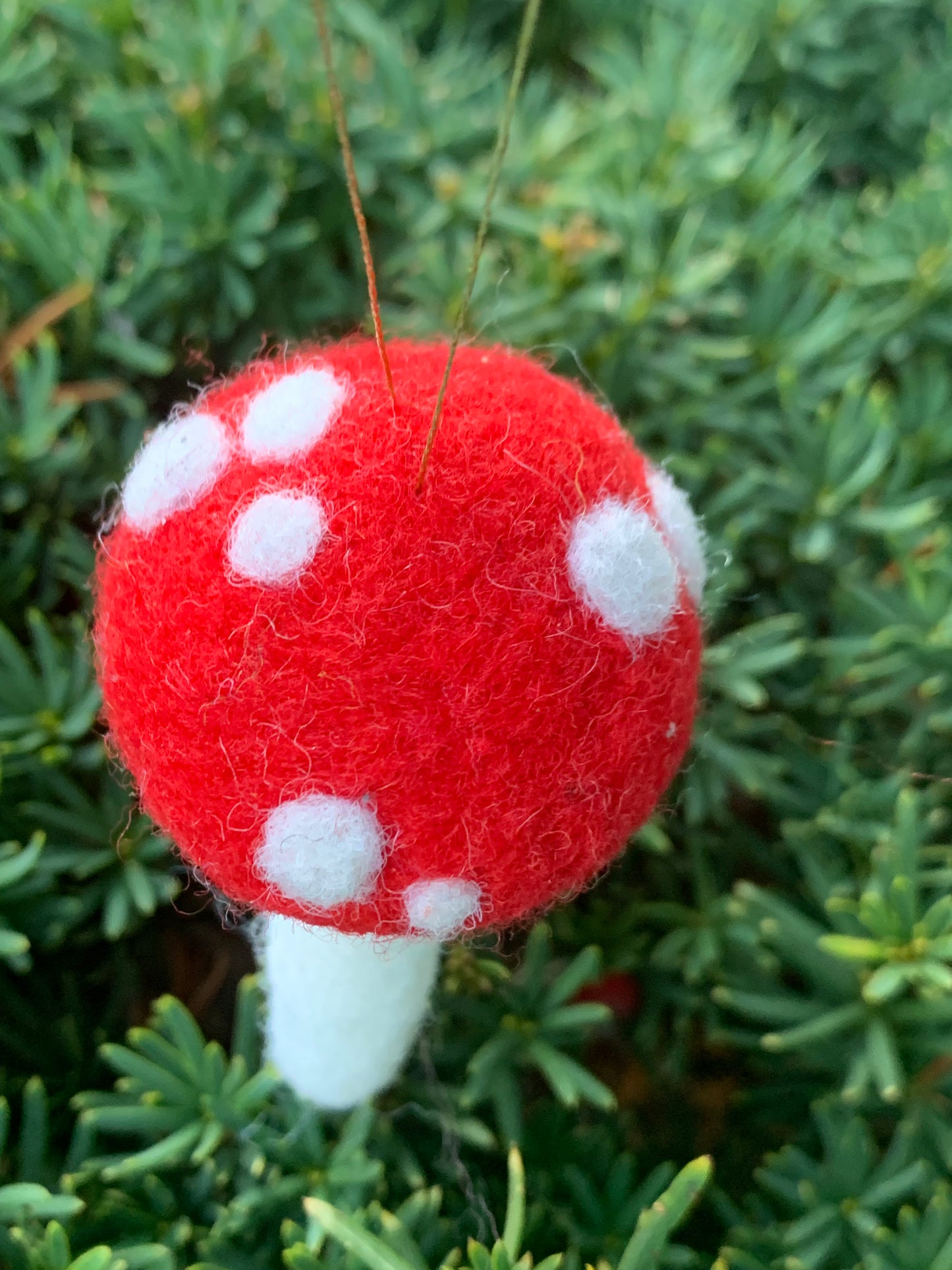 Spotted Red Mushroom Felted Ornament