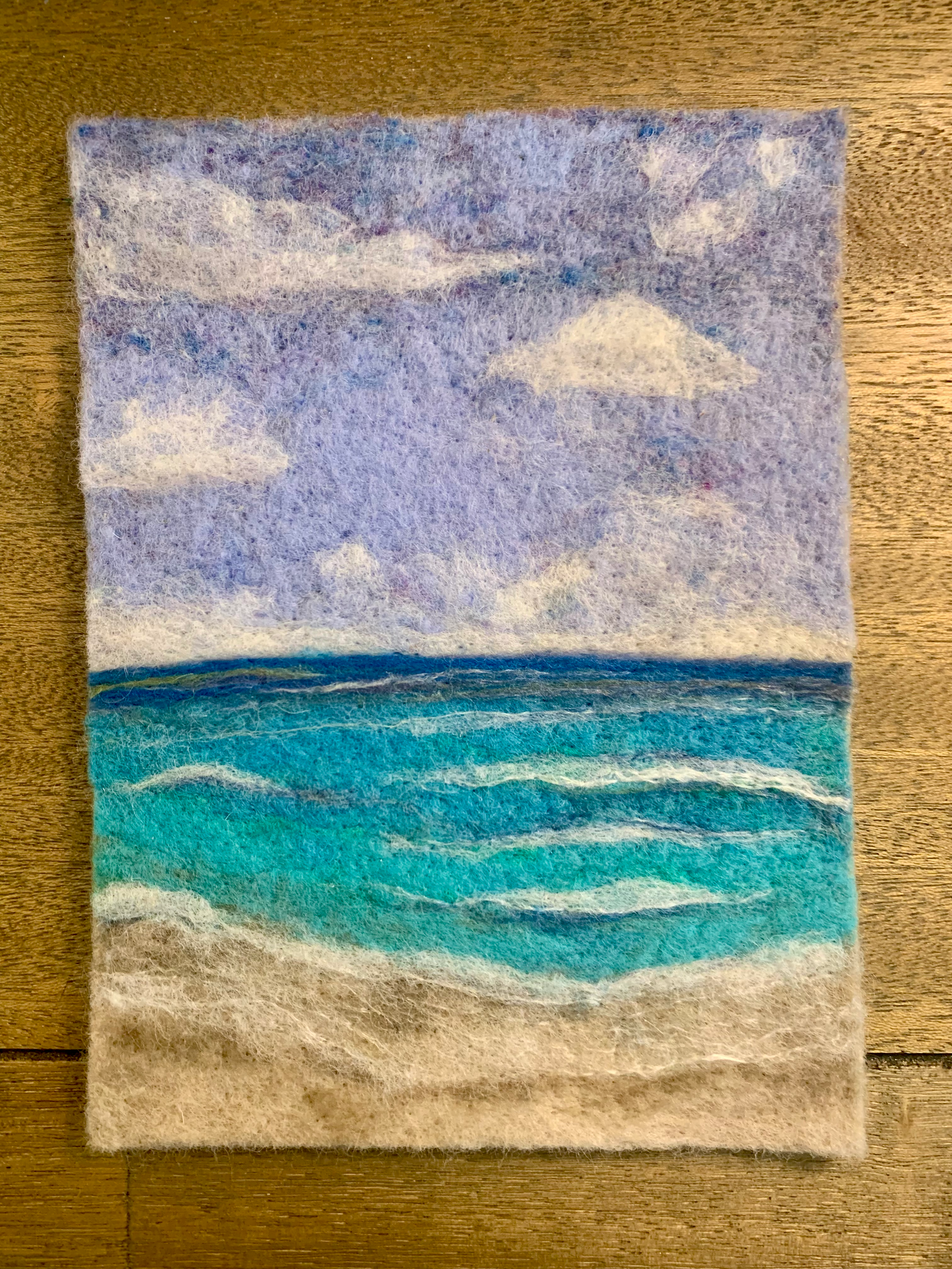 Beach Wool Painting Beginner Needle Felting Kit