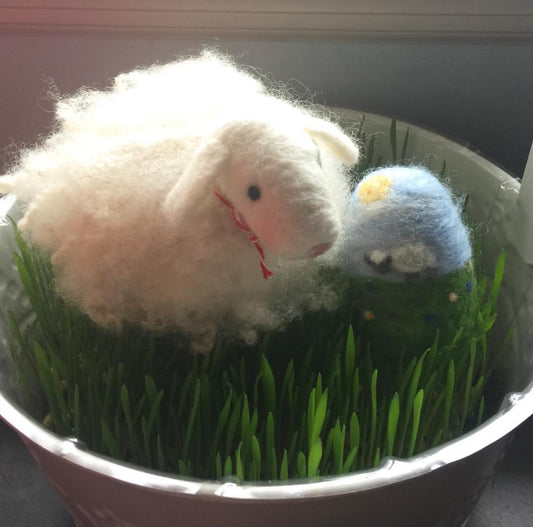 Needle Felted Sheep Kit