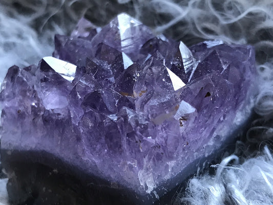Amethyst cluster