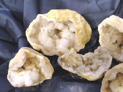 a group of small white teddy bears sitting next to each other 