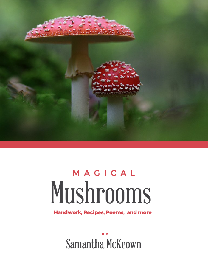 Magical Mushrooms Guide PDF